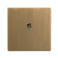 2CKA006220A0374 Клавиша один., сцена, латунь ант.