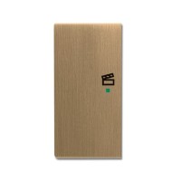 2CKA006220A0379 Клавиша дв. лев., сцена, латунь ант.