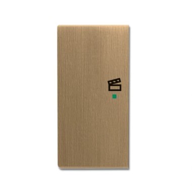 2CKA006220A0379 Клавиша дв. лев., сцена, латунь ант.