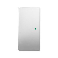 2CKA006220A0538 Клавиша двойная free@home, future, цвет сталь