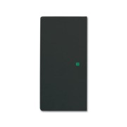 2CKA006220A0623 Клавиша двойная free@home, future, цвет чёрный бархат