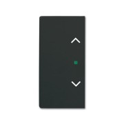 2CKA006220A0625 Клавиша двойная free@home, жалюзи, futur