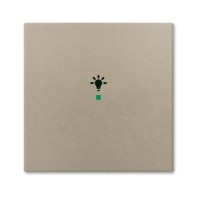 2CKA006220A0653 SRL-1-93 Клавиша одинарная free@home, освещение, Basic 55, цвет шампань