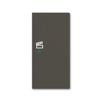 2CKA006220A0698 SRS-2-R-95 Клавиша двойная правая free@home, сцена, Basic 55, цвет ch?teau-black