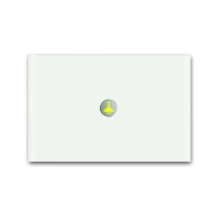 2CKA006310A0168 6340-811-101-500 Сенсор 1-клавишный priOn, белое стекло