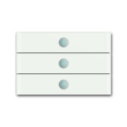 2CKA006310A0172 6342-811-101-500 Сенсор 3-клавишный priOn, белое стекло