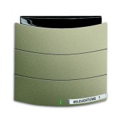 2CKA006320A0010 6320/10-260-500 Сенсор 1/2-клавишный с ИК-приемником, triton, паладий