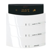 2CKA006320A0054 6321/38-24G-500 Сенсор 3/6-клавишный, терморегулятор, triton, цвет альпийскйи белый