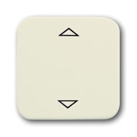 2CKA006430A0313 Клавиша для механизма электронного выключателя Busch-Jalousiecontrol 6411 U-101, 6411 U/S-101, 6418 U, реле 6402 U, серия Busch-Duro 2000 SI, цвет слоновая кость