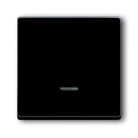 2CKA006599A2881 Клавиша для светорегулятора 6550 U-10x, 6560 U-101, 6593 U, 6526 U реле 6401 U-10x, 6402 U, серия Future/Axcent/Carat/Династия, цвет антрацит