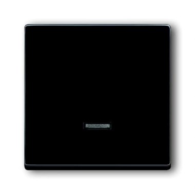 2CKA006599A2881 Клавиша для светорегулятора 6550 U-10x, 6560 U-101, 6593 U, 6526 U реле 6401 U-10x, 6402 U, серия Future/Axcent/Carat/Династия, цвет антрацит