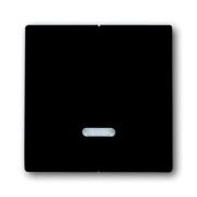 2CKA006599A2906 Клавиша для 2-канального светорегулятора 6565 U, серия Future/Axcent/Carat/Династия, цвет антрацит