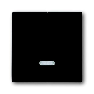2CKA006599A2906 Клавиша для 2-канального светорегулятора 6565 U, серия Future/Axcent/Carat/Династия, цвет антрацит