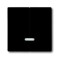 2CKA006599A2969 Клавиша для 2-канального светорегулятора 6565 U, серия Future/Axcent/Carat/Династия, цвет чёрный бархат