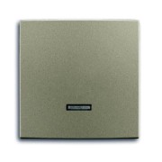 2CKA006599A2993 Клавиша для светорегулятора 6550 U-10x, 6560 U-101, 6593 U, 6526 U, реле 6401 U-10x, 6402 U, серия Basic 55, цвет шампань