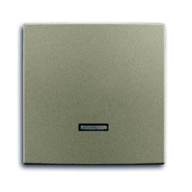 2CKA006599A2993 Клавиша для светорегулятора 6550 U-10x, 6560 U-101, 6593 U, 6526 U, реле 6401 U-10x, 6402 U, серия Basic 55, цвет шампань