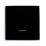 2CKA006599A2994 Клавиша для светорегулятора 6550 U-10x, 6560 U-101, 6593 U, 6526 U, реле 6401 U-10x, 6402 U, серия Basic 55, цвет château-black