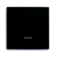 2CKA006599A2994 Клавиша для светорегулятора 6550 U-10x, 6560 U-101, 6593 U, 6526 U, реле 6401 U-10x, 6402 U, серия Basic 55, цвет château-black