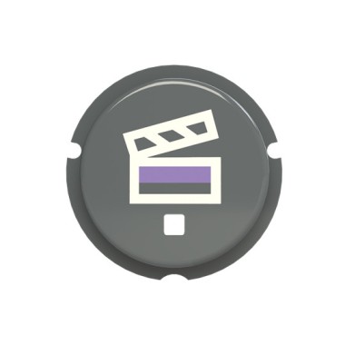 2CLA202630N1402 SBS-N2GR Кнопка сцена free@home, Zenit, серый