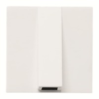 2CLA220700N1101 Вывод кабельный, 2-модульный, серия Zenit, цвет альпийский белый