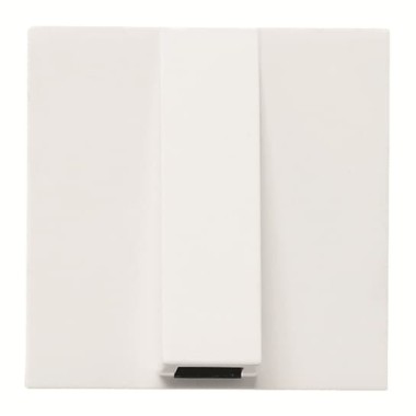 2CLA220700N1101 Вывод кабельный, 2-модульный, серия Zenit, цвет альпийский белый