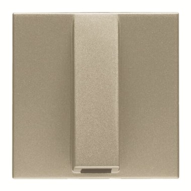 2CLA220700N1901 Вывод кабельный, 2-модульный, серия Zenit, цвет шампань