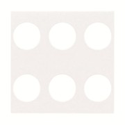 2CLA222160N1101 N2221.6 BL Плата центральная Zenit для 6-клавишного сенсора, белый