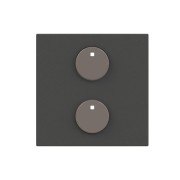 2CLA222620N1802 SR-2-N2AN Центральная плата 2-кнопочная free@home, Zenit, антрацит