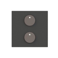 2CLA222620N1802 SR-2-N2AN Центральная плата 2-кнопочная free@home, Zenit, антрацит