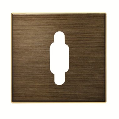 2CLA855550A1201 Накладка для механизма VGA разъёма/коннектора, серия SKY, цвет античная латунь 2CLA855550A1201 Накладка для механизма VGA разъёма/коннектора, серия SKY, цвет античная латунь