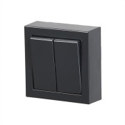 2TKA00001844 Переключатель двухклавишный, накладного монтажа, Impressivo, антрацит