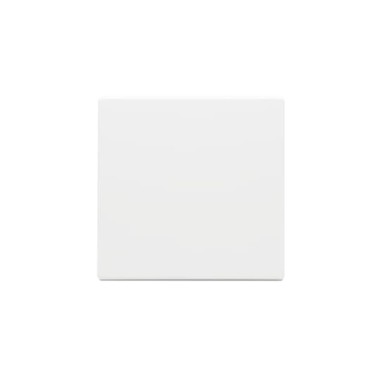 2TKA000543G1 Клавиша для 1-клавишных выключателей/перелючателей/кнопок, глухая, Impressivo, белый