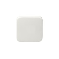 2TKA000774G1 Клавиша с пружинным креплением для выключателя