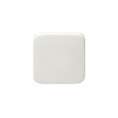 2TKA000774G1 Клавиша с пружинным креплением для выключателя