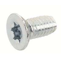 RZ13P20 Винт М6х12 (Torx 30) (упак 20 шт)