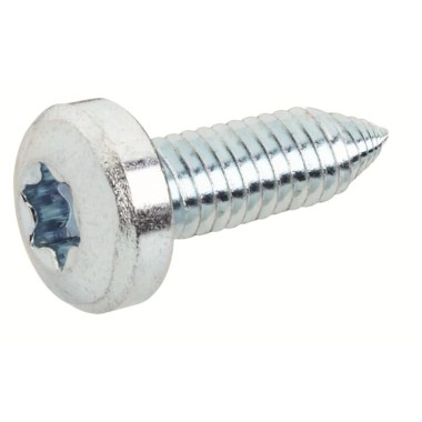 RZ14P20 Винт М6х14 (Torx 30) (упак 20 шт)