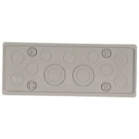 ZP57 Заглушка д/шк.типа С и G 2xPG29 / 4xPG16