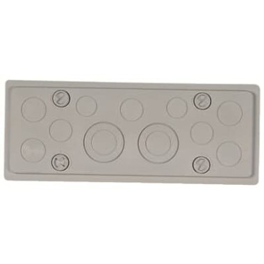 ZP57 Заглушка д/шк.типа С и G 2xPG29 / 4xPG16 ZP57 Заглушка д/шк.типа С и G 2xPG29 / 4xPG16