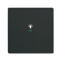 2CKA006220A0619 Клавиша одинарная free@home, освещение, future, цвет чёрный бархат