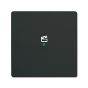 2CKA006220A0621 Клавиша одинарная free@home, сцена, future, цвет чёрный бархат