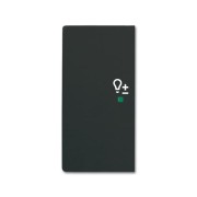 2CKA006220A0627 Клавиша двойная левая free@home, светорегулятор, future, цвет чёрный бархат