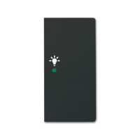 2CKA006220A0629 Клавиша двойная правая free@home, освещение, future, цвет чёрный бархат