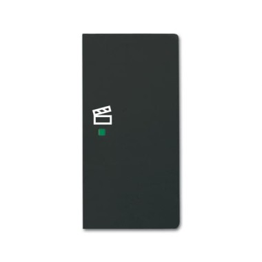 2CKA006220A0630 Клавиша двойная правая free@home, сцена, future, цвет чёрный бархат